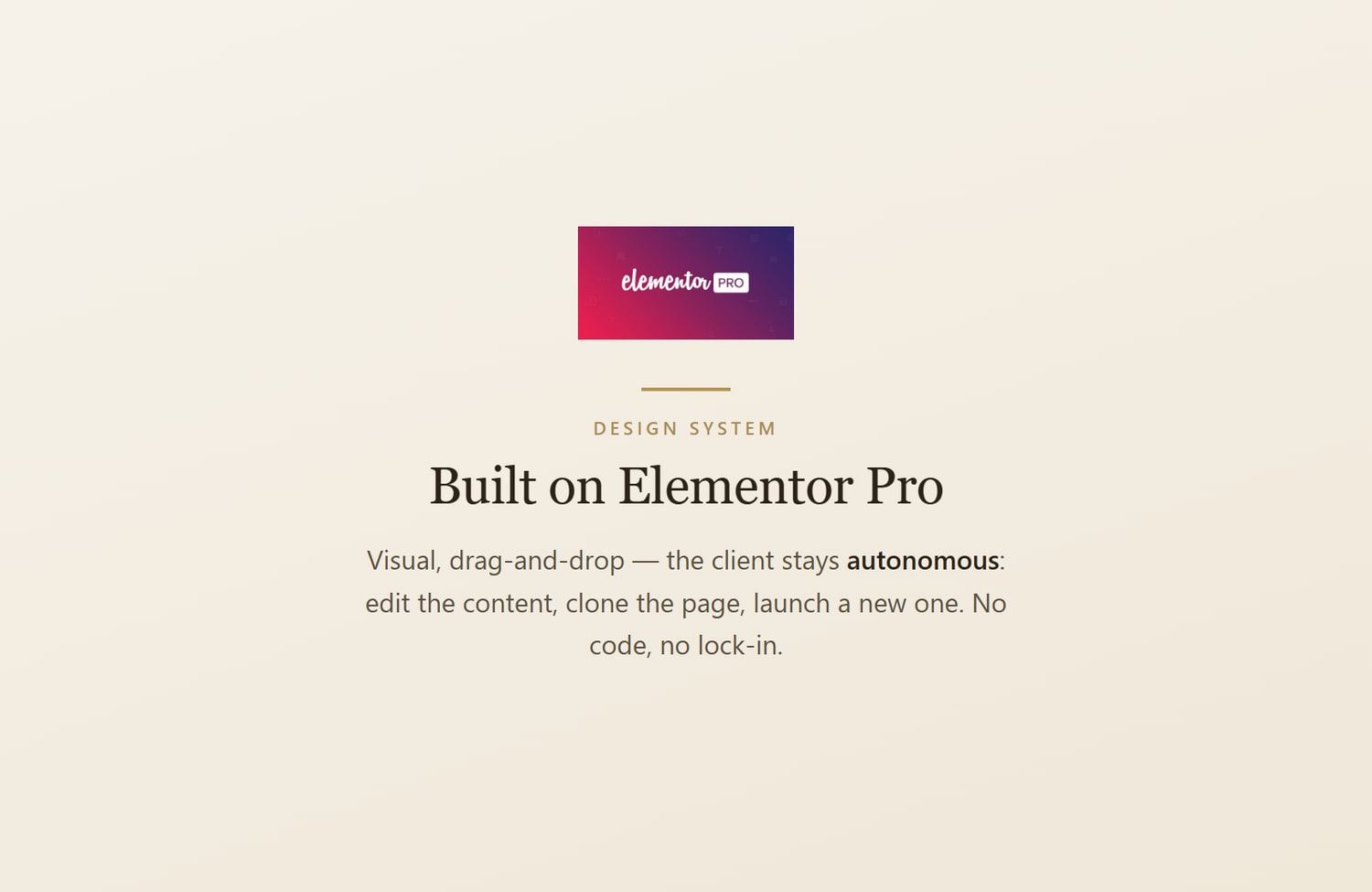 Costruito su Elementor Pro — il cliente resta autonomo per modificare, clonare ed estendere la pagina