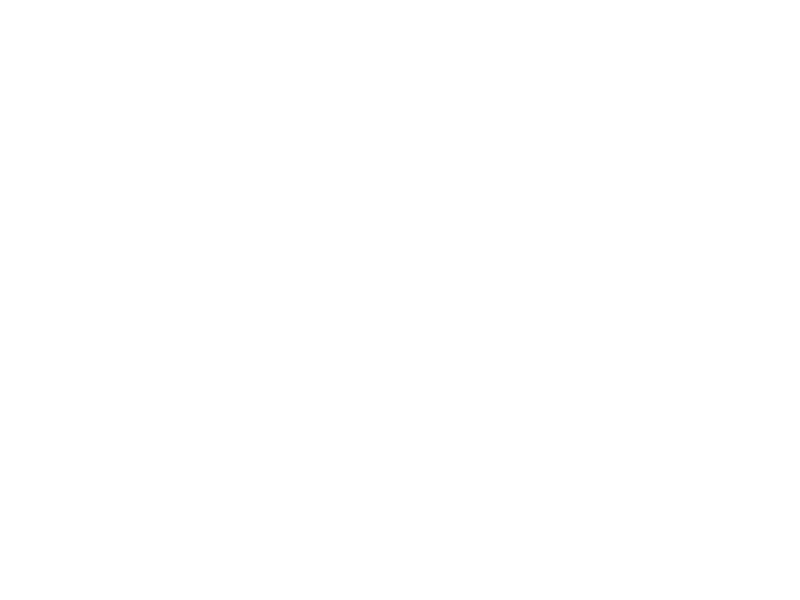 Holyo 1