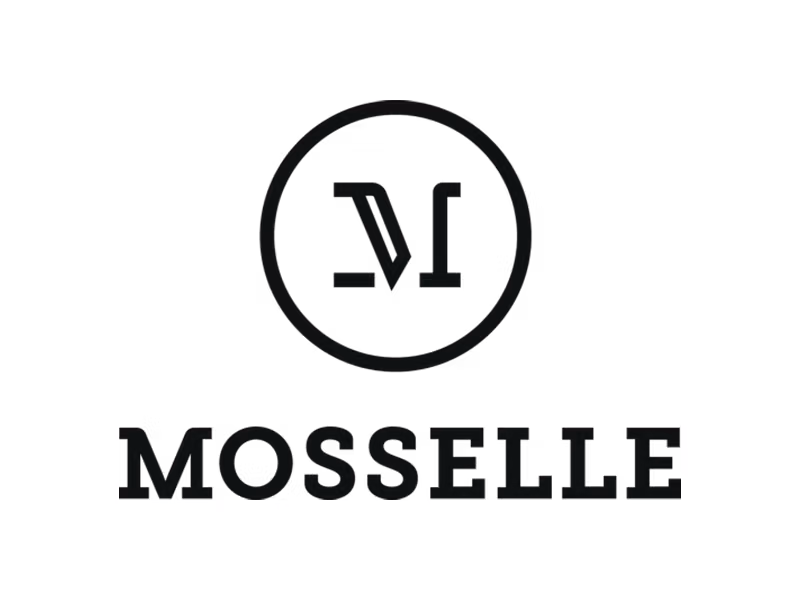 Digital Marketing Agency Romania — Cittago 10 Mosselle